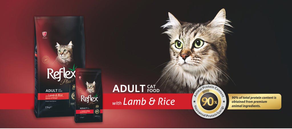 خرید غذای خشک گربه رفلکس پلاس مدل Lamb & Rice